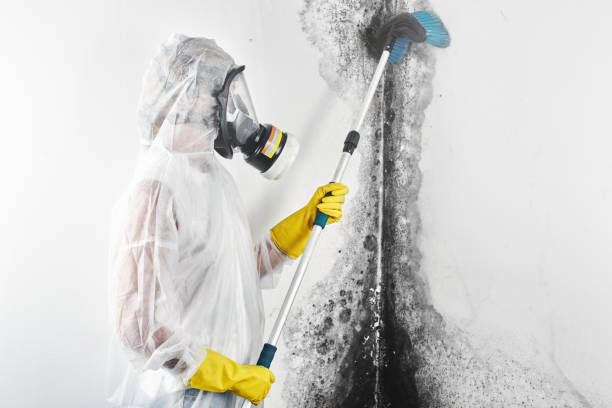 Best Air Quality Testing for Mold Spores  in Heppner, OR