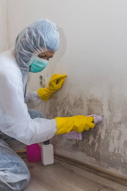 Dehumidification Services in Heppner, OR