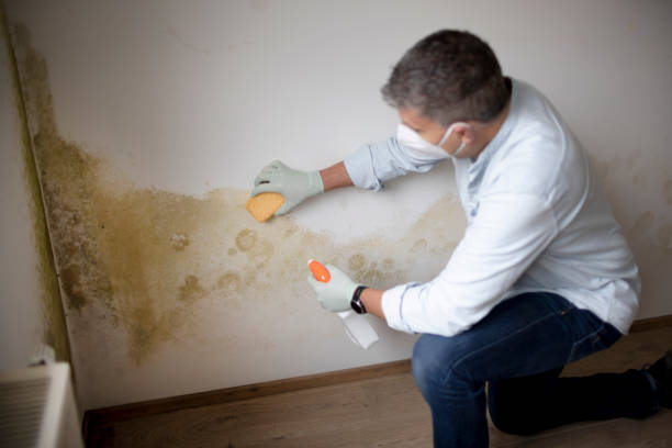 Best Crawl Space Mold Remediation  in Heppner, OR